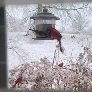 Meet your Posher, Jesse